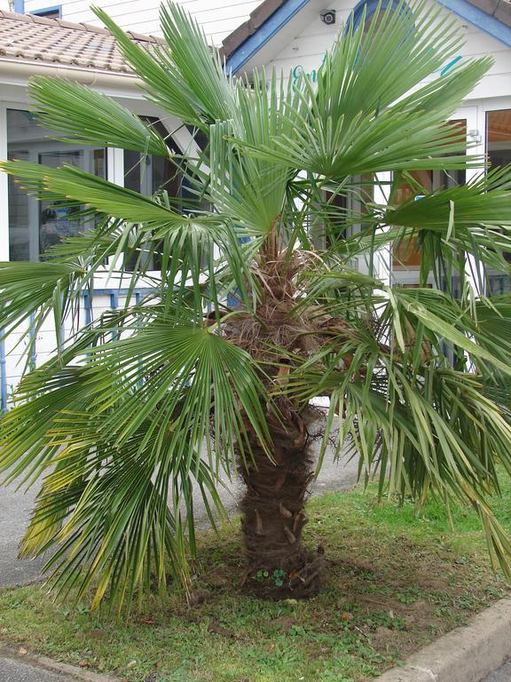 Budget Hotel Melun Sud - Dammarie Les Lys Dış mekan fotoğraf